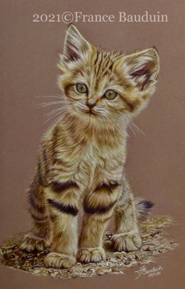 Sandcat Kitten - 20 hours
brown Pastelmat Board
11.5" x 7.5"
Ref: Anne Noël